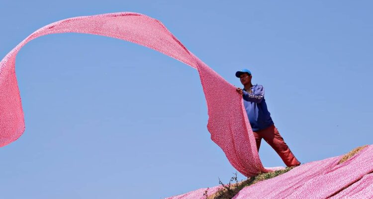 pink-8253910_1280